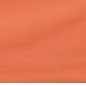 Laranja Citrus